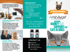 AminAvast Consumer Flyer