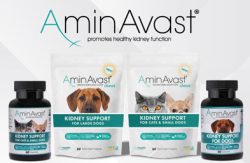 All products by AminAvast